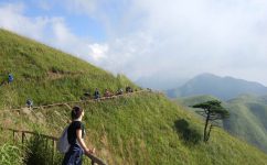 霧里看山